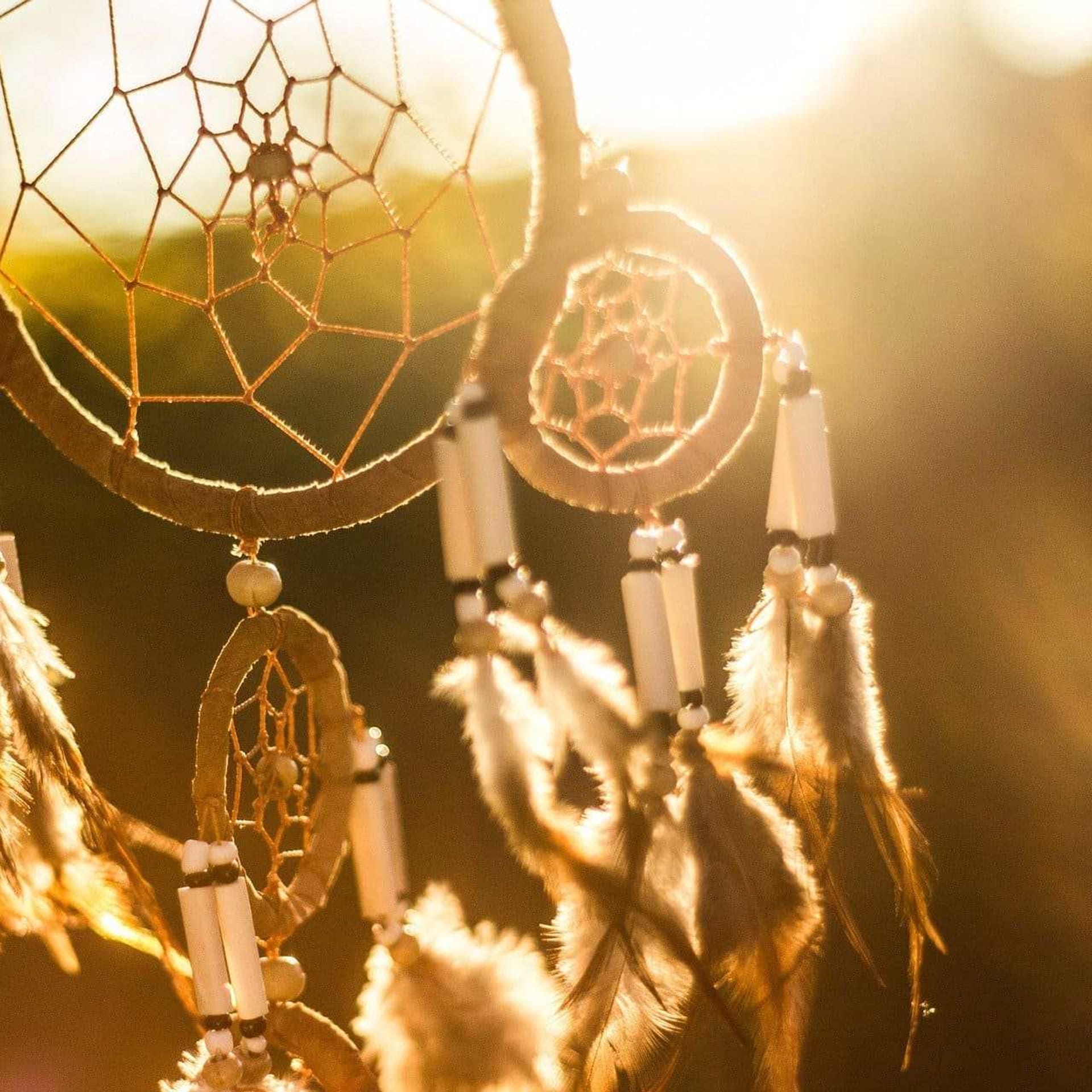 DreamRave Lab: descubre tu diseño onírico