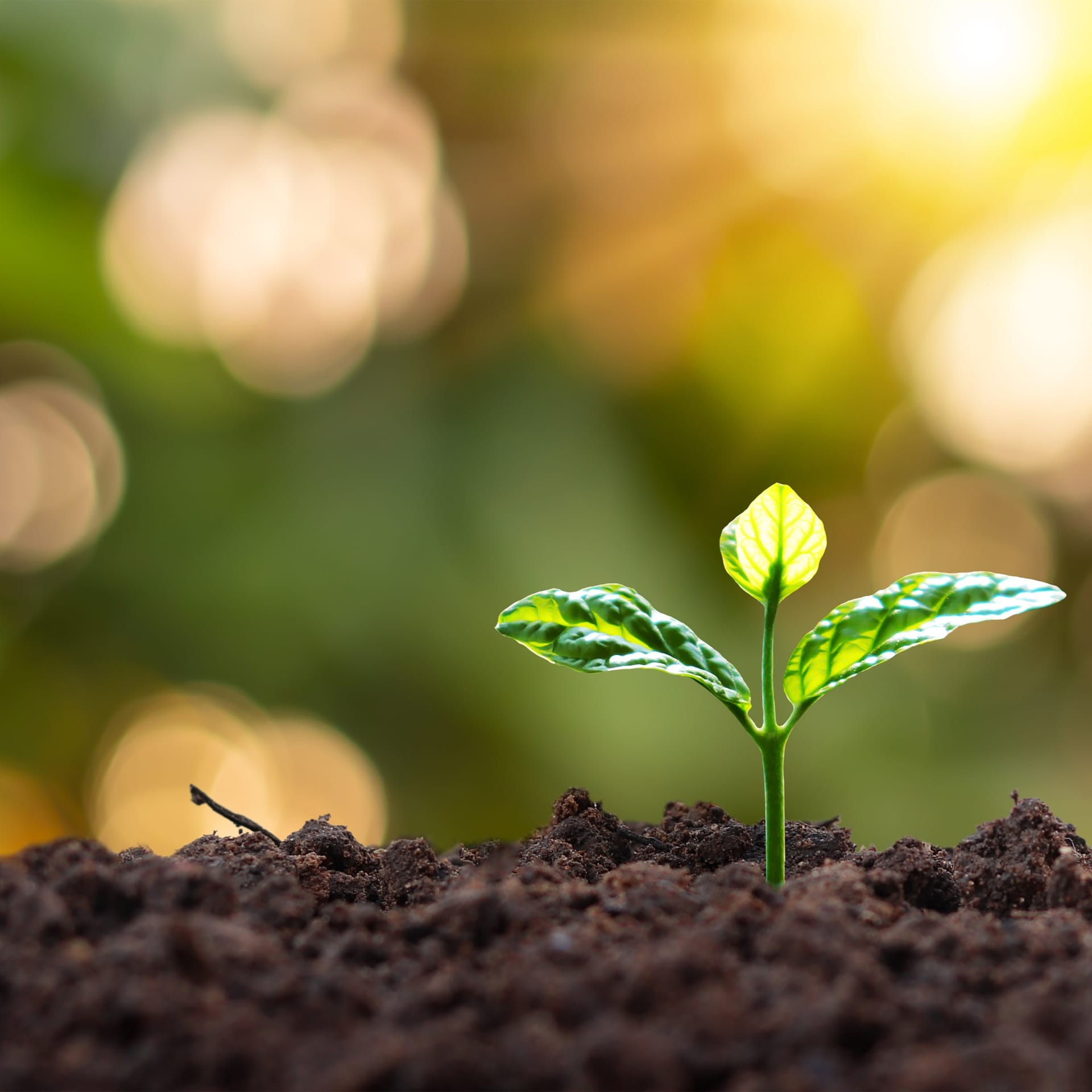 Día de puertas abiertas de la Formación de Analistas