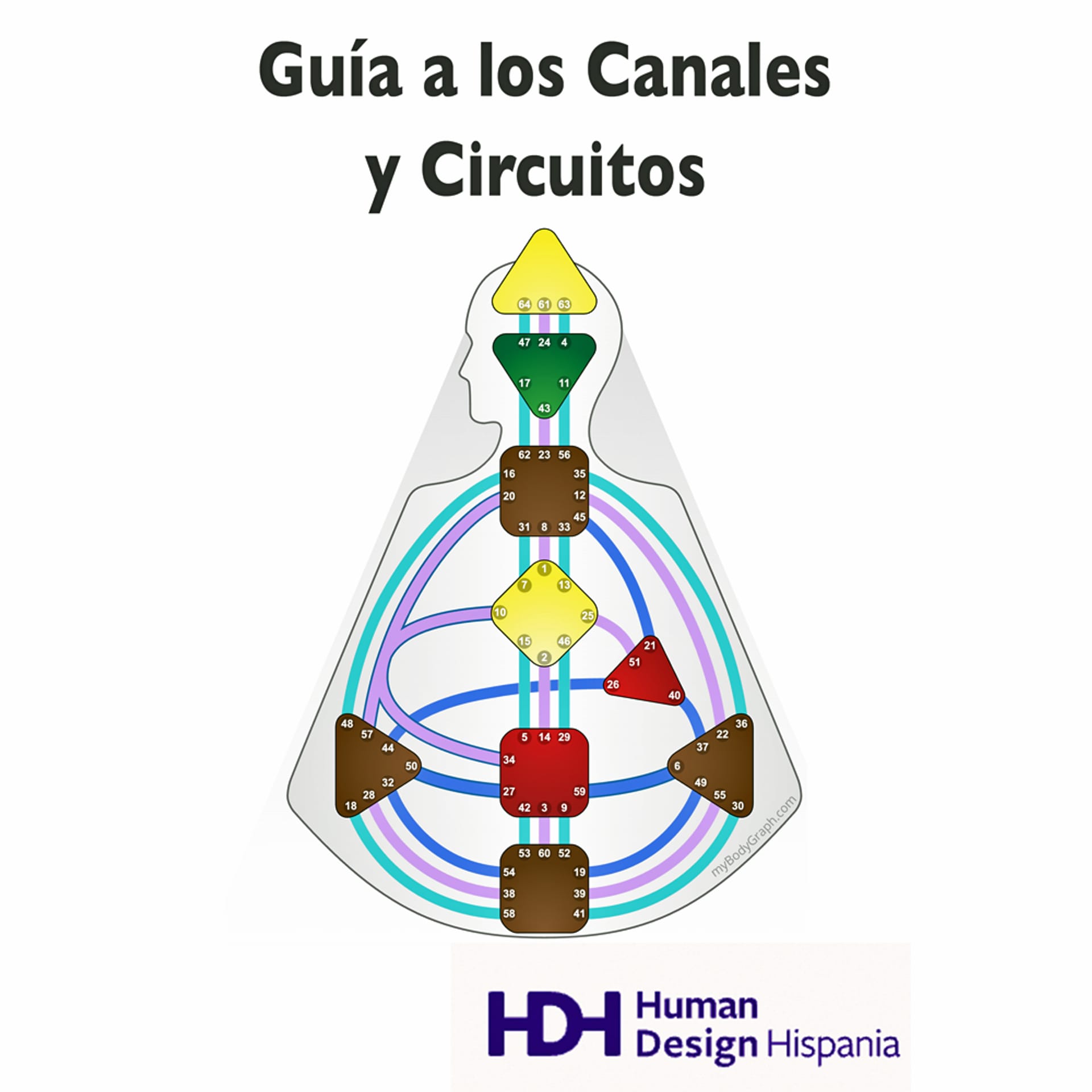 image: Guia Canales Tienda