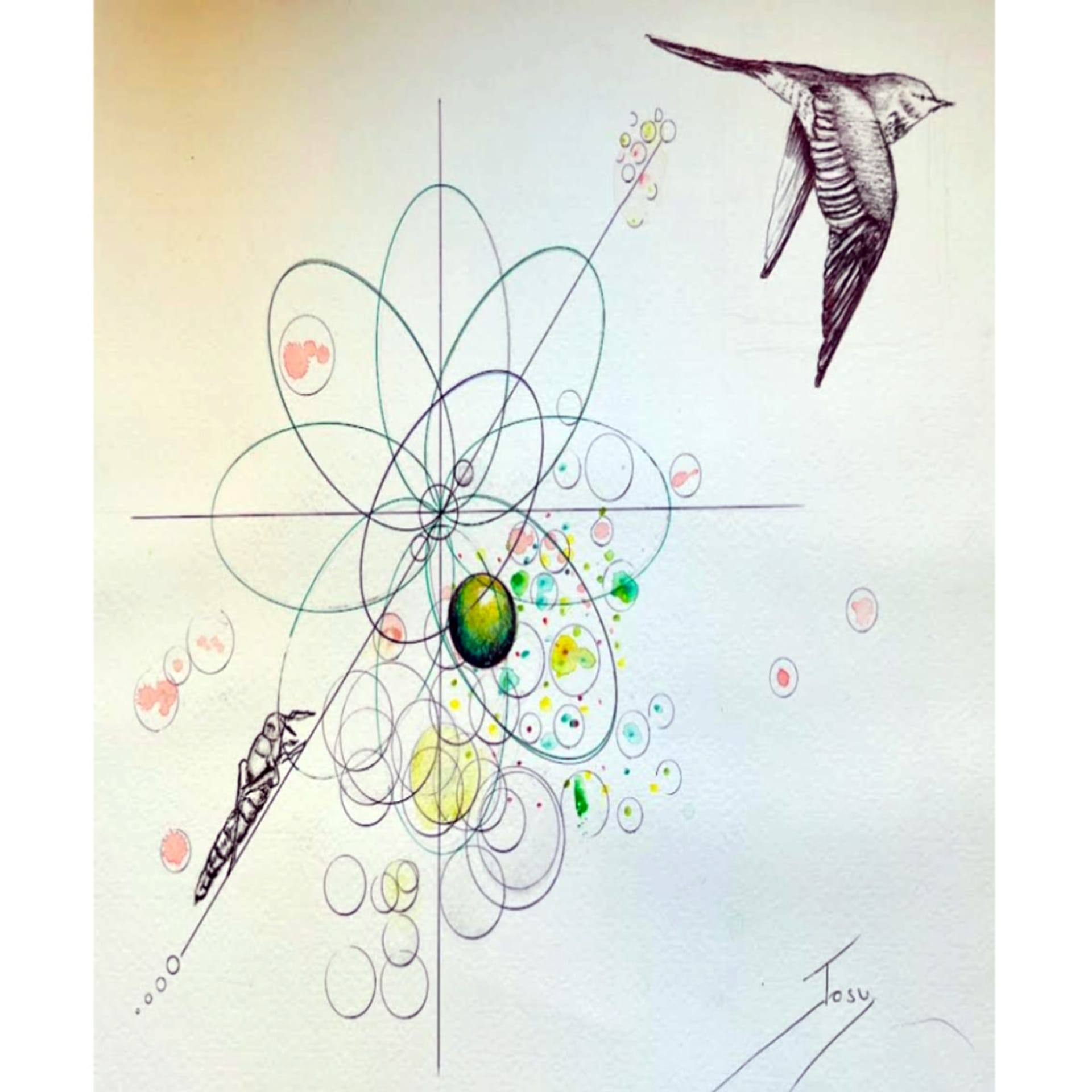 Conecta con tu Energía Vital